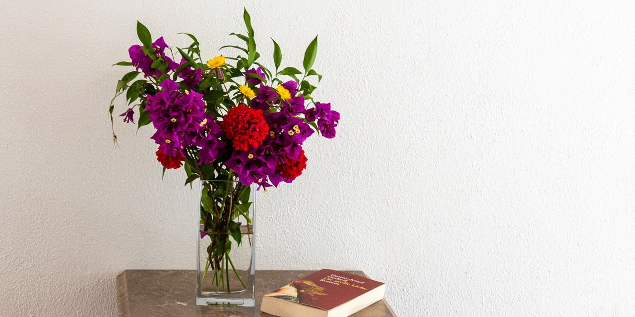 Casa Otília Oasis Ferragudo