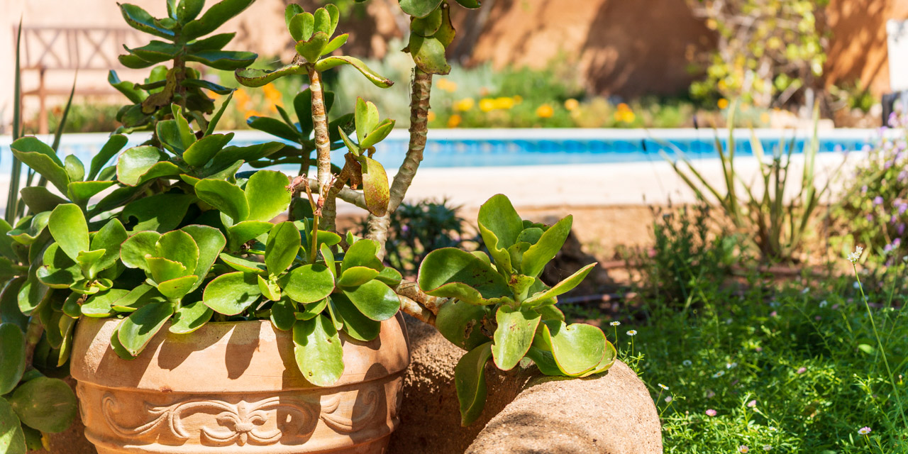 Casa Otília Oasis Ferragudo