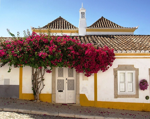 OÁSIS Journal Algarve – Bougainvillea
