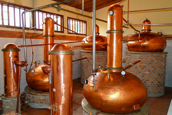 OÁSIS Journal Algarve – Almagin