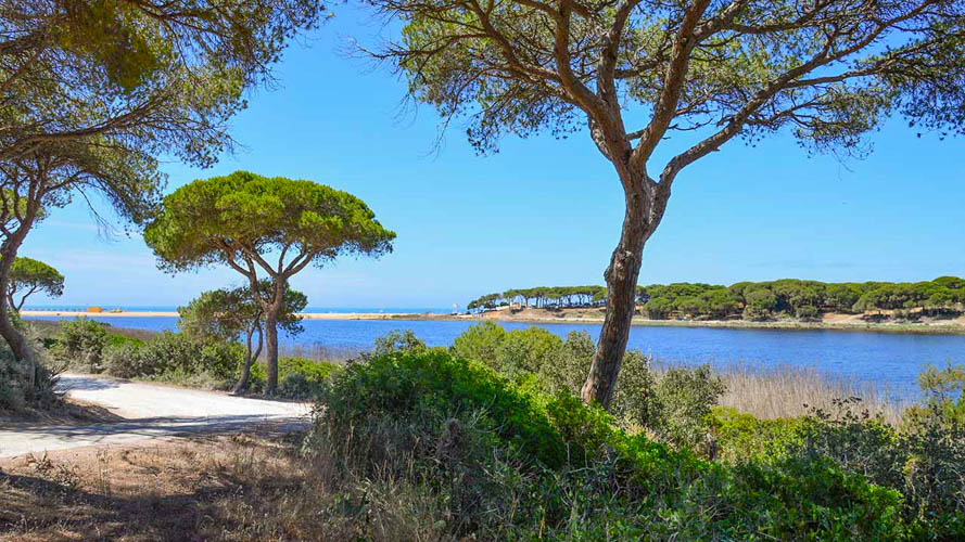 OÁSIS Journal Algarve – Almargem