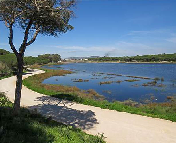 OÁSIS Journal Algarve – Almargem