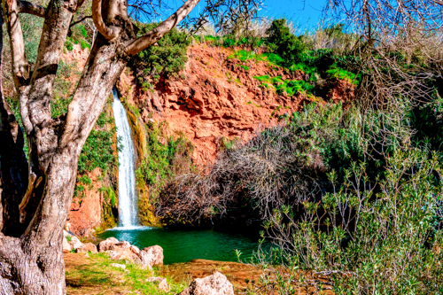 OÁSIS Journal Algarve – Alte