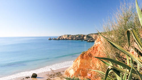 OÁSIS Journal Algarve – Arbeitsplatz