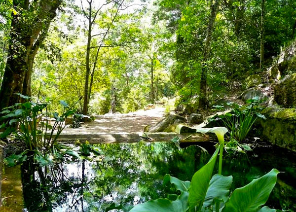 OÁSIS Journal Algarve – Caldas