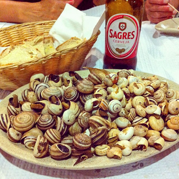 OÁSIS Journal Algarve – Caracoes