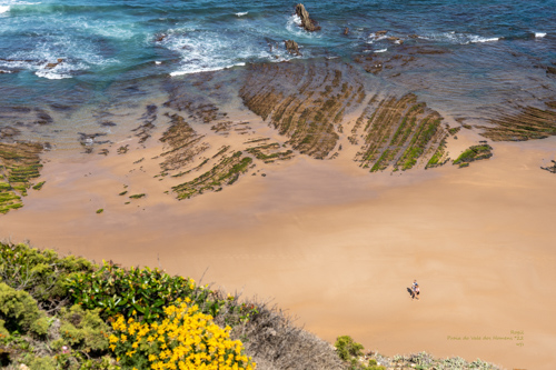 OÁSIS Journal Algarve – Costa