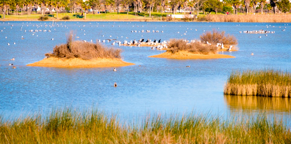 OÁSIS Journal Algarve – Ecovia
