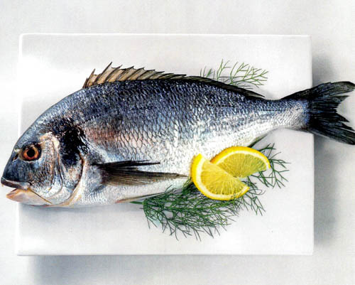 OÁSIS Journal Algarve – Fisch
