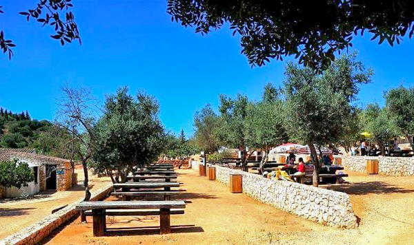 OÁSIS Journal Algarve – Fontes