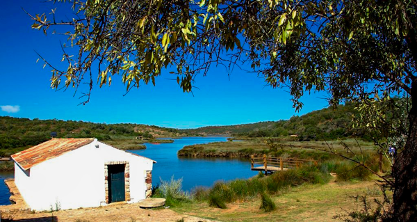 OÁSIS Journal Algarve – Fontes
