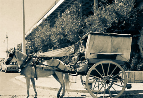 OÁSIS Journal Algarve – Frueher