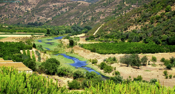 OÁSIS Journal Algarve – Herdade