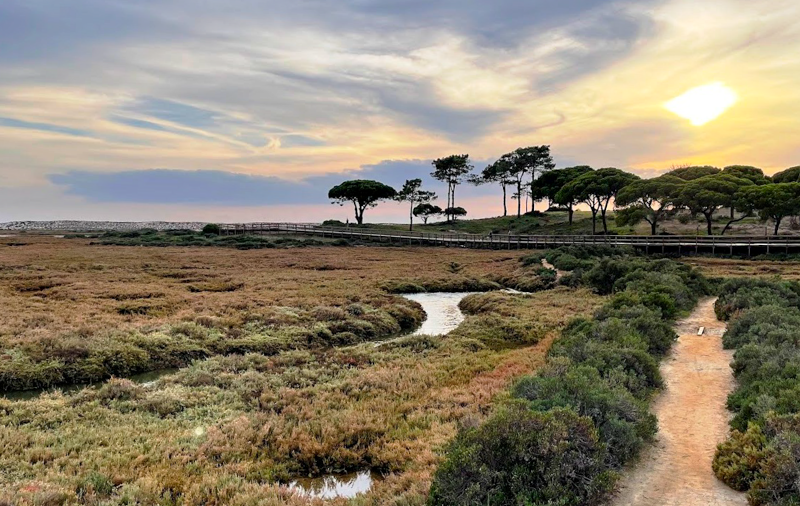 OÁSIS Journal Algarve – Holzbruecke