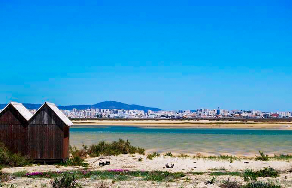 OÁSIS Journal Algarve – Ilhadefaro