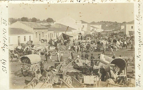 OÁSIS Journal Algarve – Markt