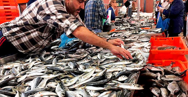 OÁSIS Journal Algarve – Markt