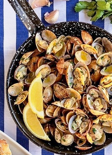 OÁSIS Journal Algarve – Muschelgericht