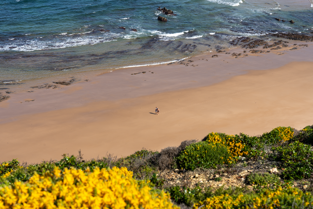 OÁSIS Journal Algarve – November