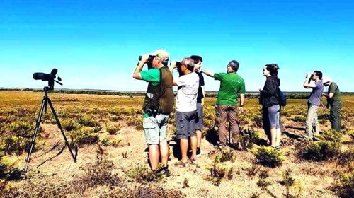 OÁSIS Journal Algarve – Ornithologie 2