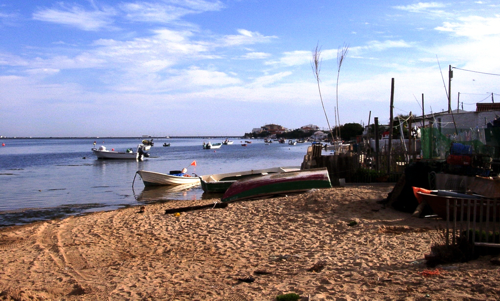 OÁSIS Journal Algarve – Ria