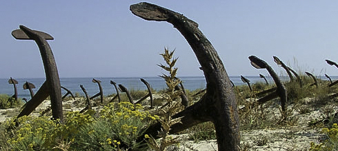OÁSIS Journal Algarve – Santaluzia