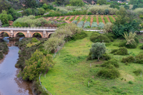 OÁSIS Journal Algarve – Silves