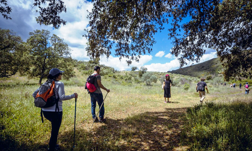 OÁSIS Journal Algarve – Sport