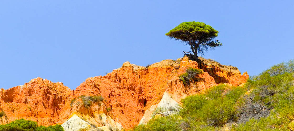 OÁSIS Journal Algarve – Stand