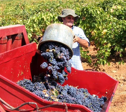 OÁSIS Journal Algarve – Wein 1 202009