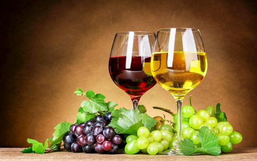OÁSIS Journal Algarve – Wein