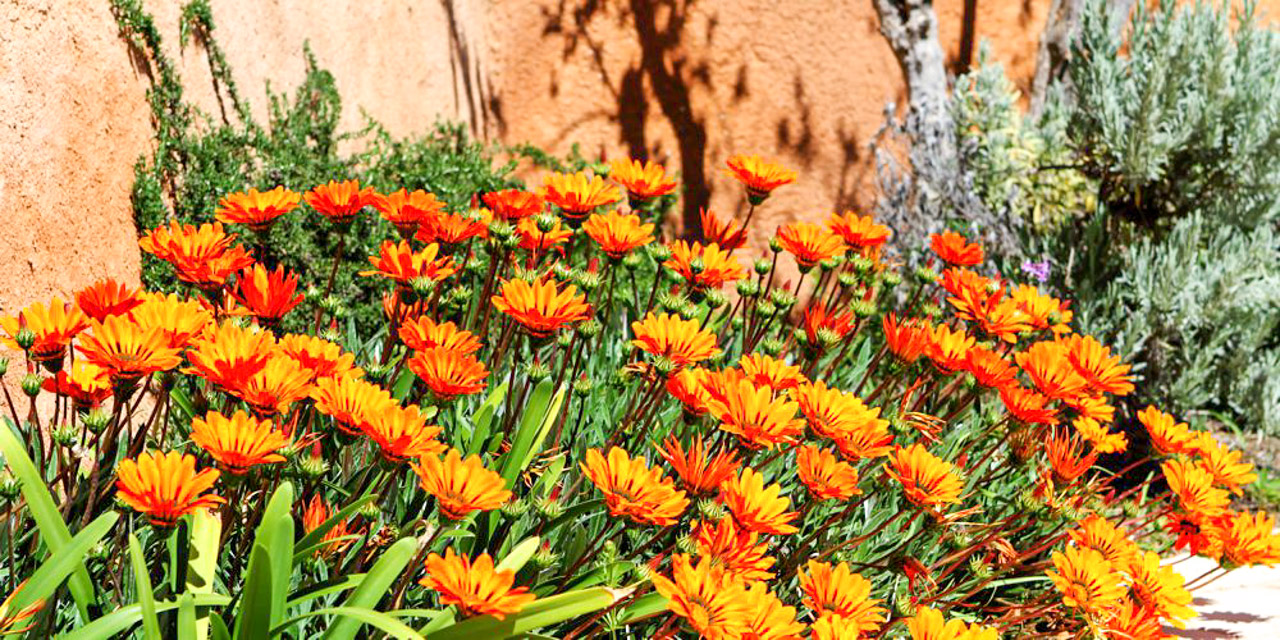 Studio Vista-Mar at OÁSIS Garden Village in Ferragudo